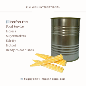 Vente en gros Marque privée Maïs en conserve en saumure sel conservé et emballé sous vide avec traitement de pelage - Product Image 6