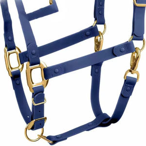 Cabestro para Caballo de Acero Inoxidable y Cuero de la Mejor Calidad - Costuras Blancas - Banda Nasal Acolchada - Product Image 4