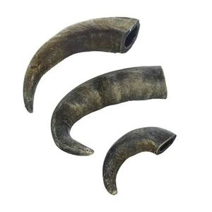 100% Organic Buffalo Horn Dog Chew Natural Long Lasting Treat for <b>Puppies</b> & Adult Dogs - Product Image 1