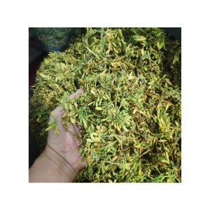 QUALITÉ FIABLE Fleurs de papaye séchées Fleurs pures pour les infusions et le soutien du confort respiratoire Vente mondiale la plus demandée - Product Image 2