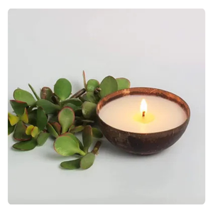Vela de regalo de aromaterapia de coco con aroma tropical de cera natural - Product Image 2