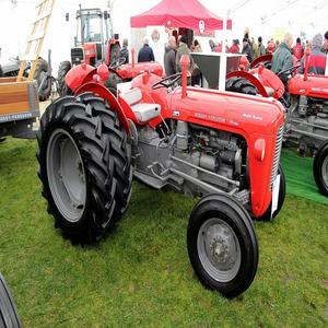 Calidad Premium Massey Ferguson 35X Disponible En Stock Compre Ahora Entrega Rápida En Este Tractor Duradero - Product Image 6