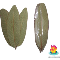 Extrait de plante de feuilles de goyave séchées naturelles pour la santé et le bien-être