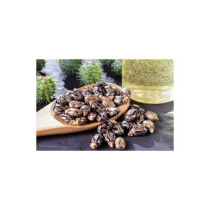 Global Exporter of 100% Pure Yellow Color Refined <b>Castor</b> <b>Oil</b> on Huge Demand - Product Image 2