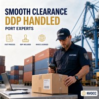 Agent maritime DDP Service porte-à-porte Expédition combinée LCL Express Transport maritime UE États-Unis Italie Australie Afrique du Sud Émirats arabes unis