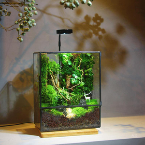 Nieuwe Led Aquarium Aquarium Aquarium Aquarium Aquarium Licht Voor Vivarium Terrarium, Potplanten, Succulent, Miniatuur Tuinieren Landschap Voor Huisdecoratie - Product Image 5