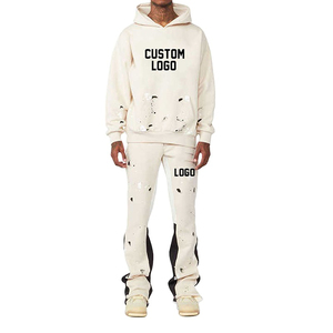 2025 High Quality Heavyweight Winter Hooded Casual Men's Tracksuit Set Regular Fit Customize 100% Cotton - Product Image 1