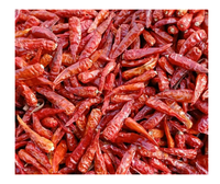 Top Qualité Naturel Piment Rouge Séché Gros Piment En Vrac En Gros 100% Pur Piment Rouge Séché Premium Vietnam