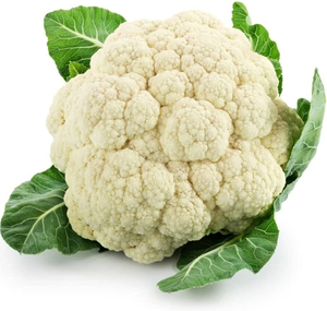 High Quality Fresh White Cauliflower Healthy Vegetable Exporter - Product Image 1