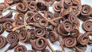 Anneau de palmier de qualité supérieure, écologique, bricolage, mariage, remise de diplôme, Halloween, Pâques, fête des pères, décoration intérieure/extérieure, maison, bureau - Product Image 2