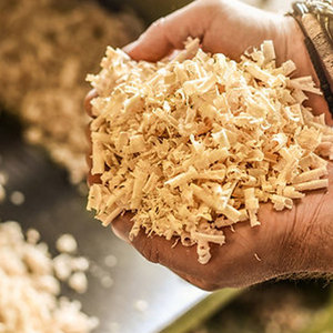 High Quality Pine Wood Shavings Dust-Free Animal Bedding for Horses Small Pets Natural Hardwood Shavings Bulk <b>Agricultural</b> <b>Waste</b> - Product Image 1