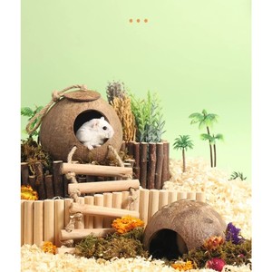 Casa para Pájaros de Cáscara de Coco Premium, Duradera, Natural y Ecológica, Casa para Hámsteres y Ardillas, Nido para Loros +84 865912655 Liam - Product Image 2