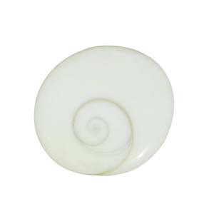 Ensemble de 51 pierres précieuses astrologiques Gomti Chakra blanches naturelles - Cristaux naturels en vrac - Product Image 3