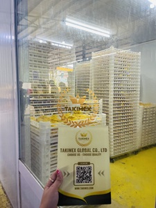 Usine directe exportation de sucre biologique sans mangues séchées tendres du Vietnam lyophilisées saines conservées avec du sirop emballage en vrac - Product Image 5