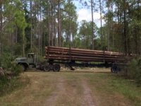 Wholesale Pine Lumber Boards Supplier Premium Kiln Dried Pine Wood Planks for Furniture Manufacturing and Construction Projects