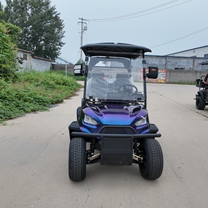 Voiturette de golf électrique tout-terrain 2 places 48V 5KW neuve et à prix réduit en vente - Product Image 2