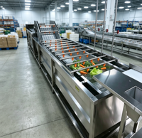 Automatische groentebellenreinigingsmachine, commerciële fruitbellenwasmachine