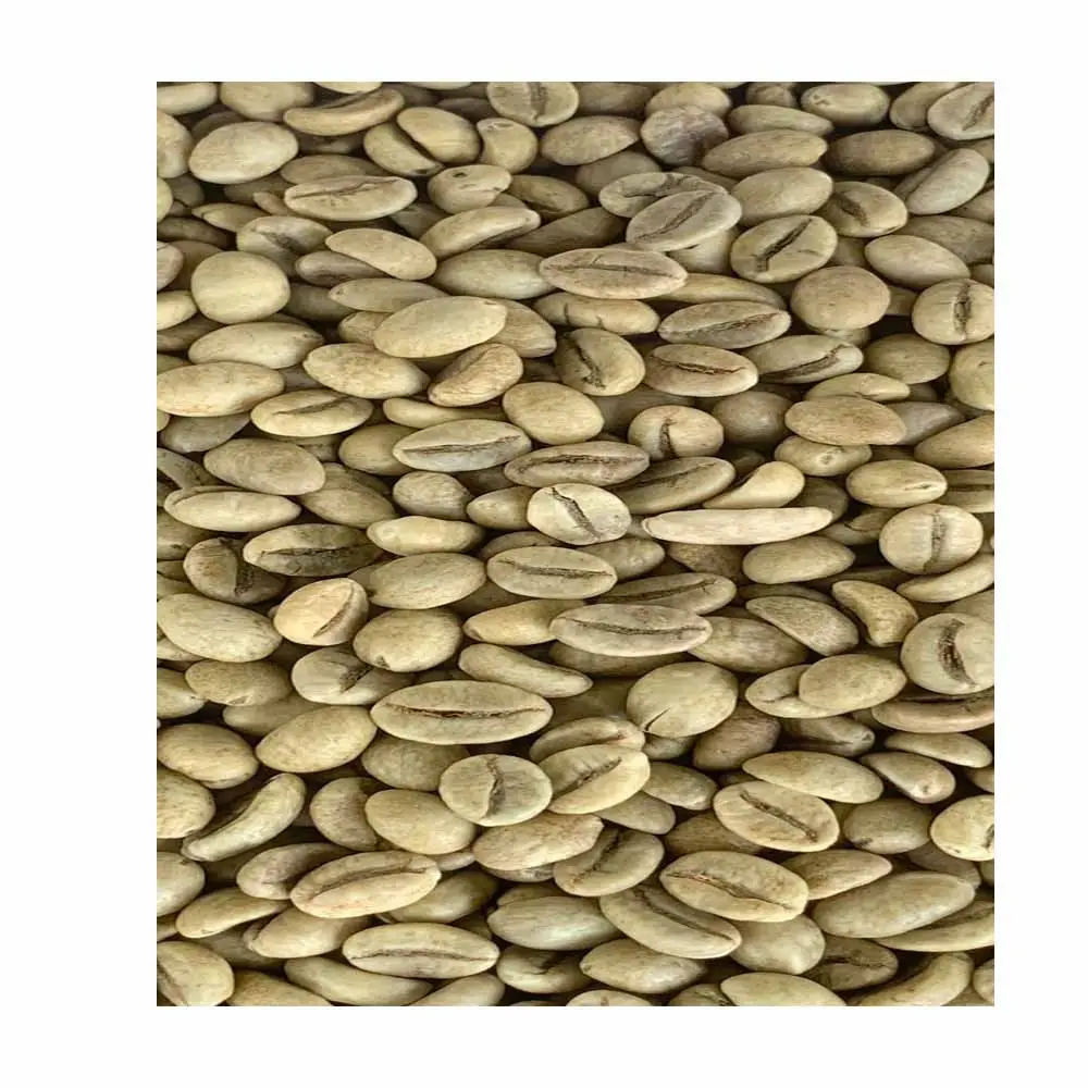 Wholesale Round Pinto Light Speckled Kidney Bean LSKB Beans