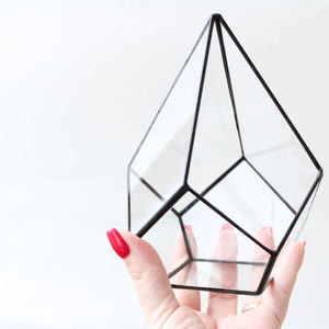 New Irregular Geometric Terrarium Brass Glass Succulent Glass Terrarium Box <b>Display</b> Black Finished Home & Garden Decor - Product Image 3