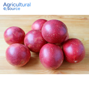 Fruit de la passion de qualité supérieure-Riche en antioxydants et nutritions Fruit de la passion-Prêt pour le jus frais-De l'usine VietNam - Product Image 3