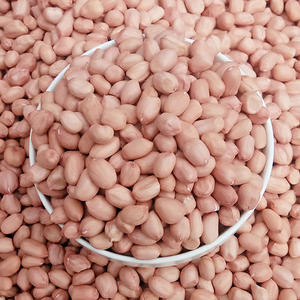 Arachides naturelles brutes séchées, croustillantes, riches en protéines, sans additifs, pour enfants et adultes, à consommer quotidiennement, en vente - Product Image 6