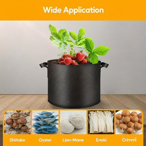 Sacchi da Coltivazione da 5 Galloni per Mirtilli in Tessuto per Esterni e Interni, Vasi per Semenzai e Piantine con Fioriera in Feltro per la Cura delle Piante - Product Image 5