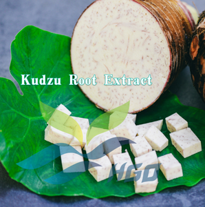 HGO Factory Fourniture directe d'extrait de racine de Kudzu naturel pur (qualité alimentaire) Spécification Puerarin 65% (extrait standardisé) - Product Image 3