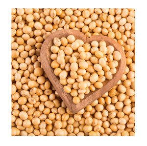 Semillas de soja secas sin OGM de primera calidad, envasado a granel para agricultura sostenible, excelente tasa de germinación, fuerte resistencia a los cultivos - Product Image 3