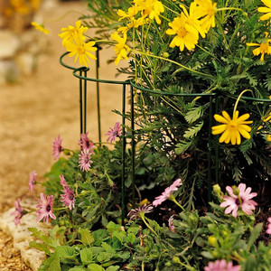 TG77641 60cm 2 Piezas Anillo de Soporte Metálico para Plantas y Flores, Equipo y Accesorios para Plantas Trepadoras - Product Image 6