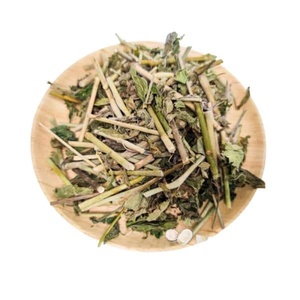 ใบสมุนไพรธรรมชาติแห้งคลีนาแคนตัสนูกันสะบาห์หญ้างู | ผู้จำหน่ายสมุนไพรเวียดนาม - Product Image 3