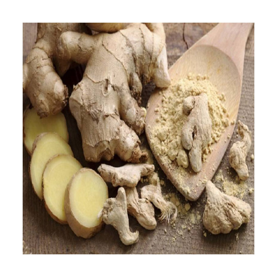 Best Price Fresh Ginger Export Ginger Fresh Ginger