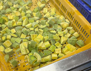 MEJOR AGUACATE CONGELADO DE GRADO DE EXPORTACIÓN-SUMINISTRO DE VIETNAM-CALIDAD SUPERIOR - Product Image 5