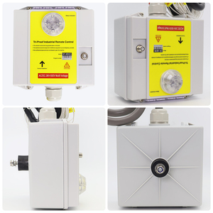 Trong kho 2025 mô hình mới cần cẩu điều khiển từ xa không dây với một cao cấp PUSH-Pull e-stop và lithium có thể sạc lại pin - Product Image 4