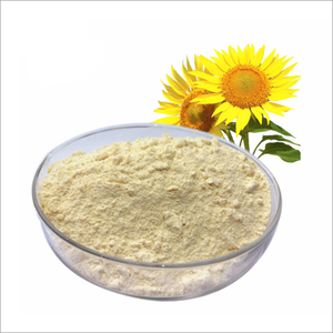 Poudre de Lécithine de Tournesol de Qualité Alimentaire 100% Phosphatidylcholine Vente en Gros Extrait de Feuilles Exportateur Indien - Product Image 2