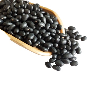 Haricots noirs séchés en gros OGM-Lumière cultivée mouchetée avec motif rond Emballage en vrac pour usage alimentaire - Product Image 4