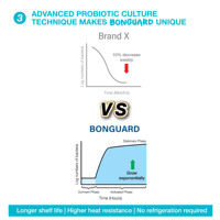 Capsules de probiotiques et prébiotiques de qualité supérieure Bonguard, complément de haute qualité