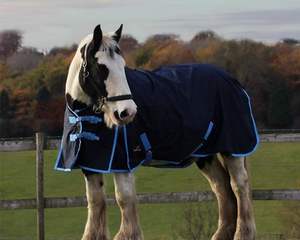 Tapis de participation pour chevaux léger sans remplissage Standard Neck Waterproof - Product Image 4