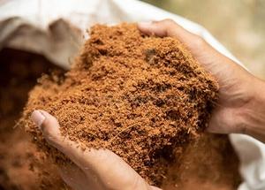 Polvo de Cáscara de Coco de Alta Calidad, Malla 80-100-200, 10% de Humedad, Estándar de Exportación de Vietnam, Suministro a Granel para Uso Industrial y Agrícola - Product Image 2