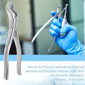 Forceps d'extraction dentaire manuels en acier inoxydable de qualité supérieure, poignée ergonomique, instruments dentelés pour usage professionnel - Product Image 5