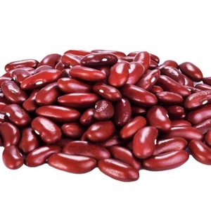 Venta al por mayor de Frijoles Rojos secos a granel de alta calidad frijoles de riñón naturales de forma larga disponibles para la venta al mejor precio a granel - Product Image 1