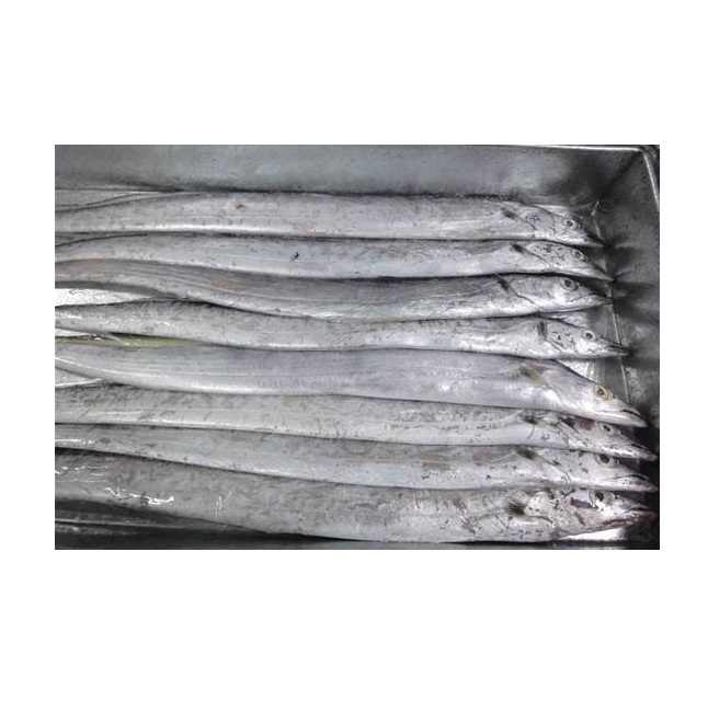 BQF Frozen fresh whole round ribbon fish for sale