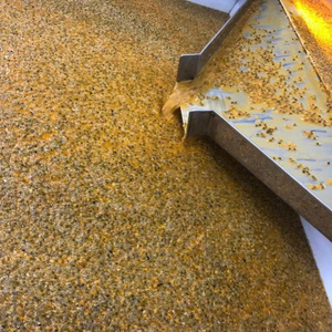 Purée de fruits de la passion congelée IQF: approvisionnement en vrac de haute qualité avec emballage personnalisable et étiquetage privé. - Product Image 5