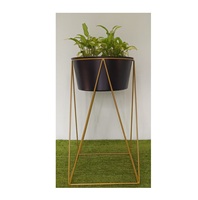 Ce pot à plantes en treillis ouvert aide les plantes à rester droites et apporte un aspect doux et élégant aux salles de jardin intérieures.