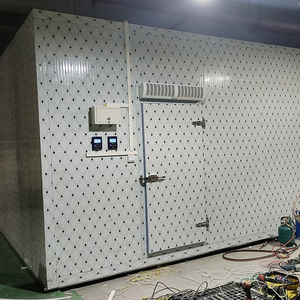 Cámaras Frigoríficas Industriales en Venta: Cuartos Fríos Amplios para Restaurantes y Almacenamiento - Product Image 4