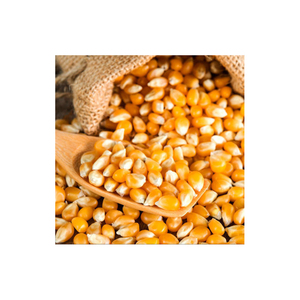 Mejor venta de calidad agrícola Corp producto maíz grano de maíz Natural puro de maíz amarillo maíz - Product Image 6