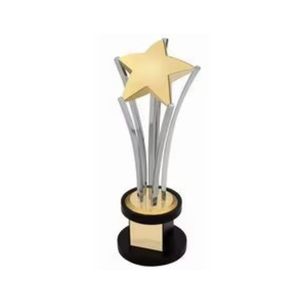 Trophée de récompense en métal argenté élégant pour la promotion, le marketing et l'affichage - Product Image 6