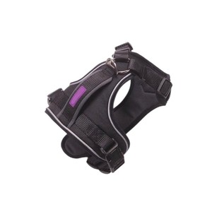 Collar para Perro con Estilo, para Perros Medianos y Grandes, de Nailon y Poliéster, con Estampado, Diseño Clásico y Suave, de Vietnam - Product Image 4