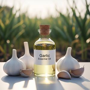 100% extrait d'ail pur huile essentielle approvisionnement en gros en vrac - Product Image 5