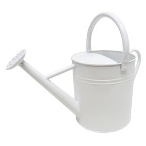 Bidon d'eau en métal pour petits espaces de jardin avec un design élégant et une finition noire pour l'arrosage - Product Image 2