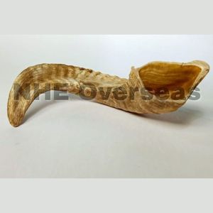 Durable Natural Ram Horn Dog Chews Premium Healthy Safe Strong Huesos de larga duración para el cuidado dental y la masticación de cachorros - Product Image 1